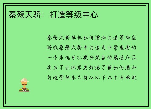 秦殇天骄：打造等级中心